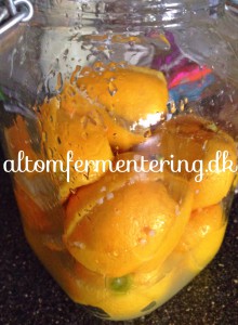 marokkanske citroner