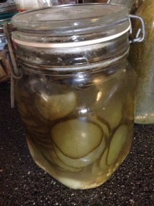 Fermenteret agurkesalat (5 måneder gammel!)