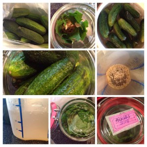 Pickles, fermenterede drueagurker