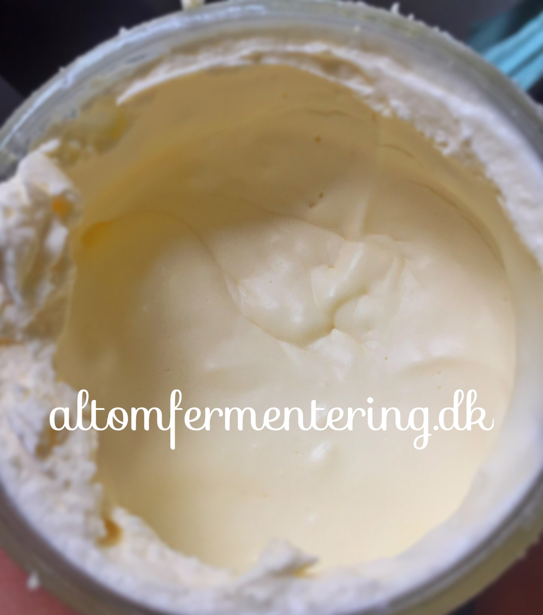 Mælke Kefir Crème Fraiche – ALT OM FERMENTERING – Fermentering på den ...