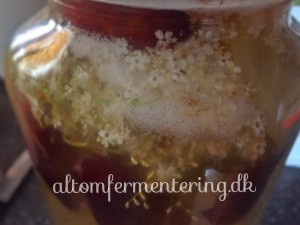 Fermenteret hyldeblomst drik